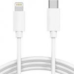 iPhone Charger